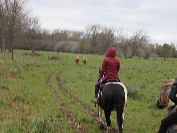 IMG_6509.JPG IMG_6509.JPG