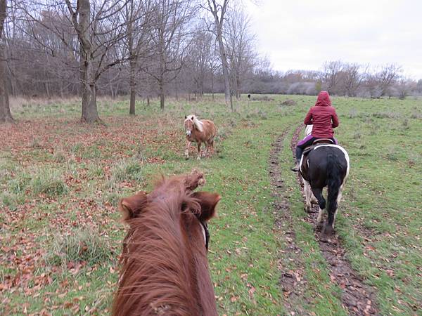 IMG_6510.JPG IMG_6510.JPG