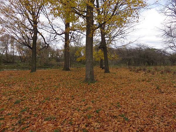 IMG_6514.JPG IMG_6514.JPG