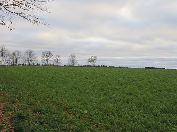 IMG_6521.JPG IMG_6521.JPG