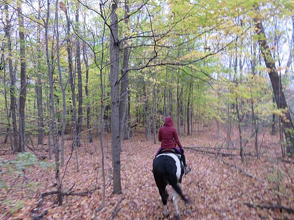 IMG_6523.JPG IMG_6523.JPG