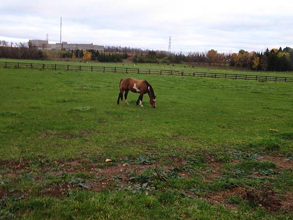 IMG_6527.JPG IMG_6527.JPG