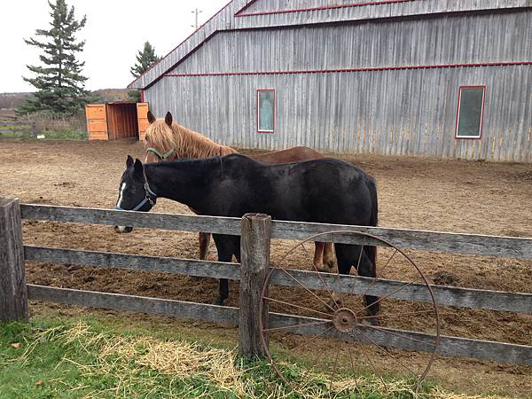 IMG_6444.JPG IMG_6444.JPG