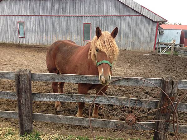 IMG_6445.JPG IMG_6445.JPG