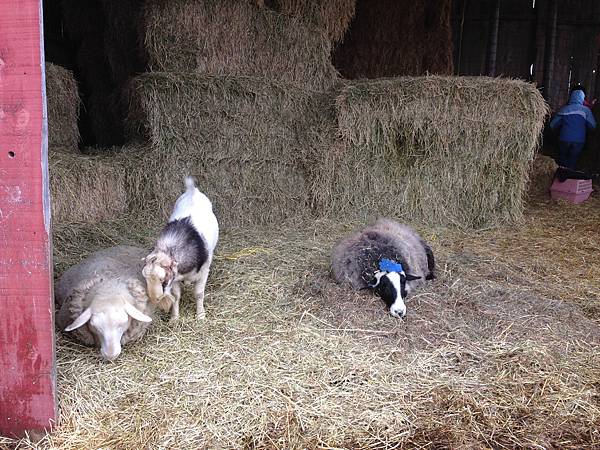 IMG_6449.JPG IMG_6449.JPG