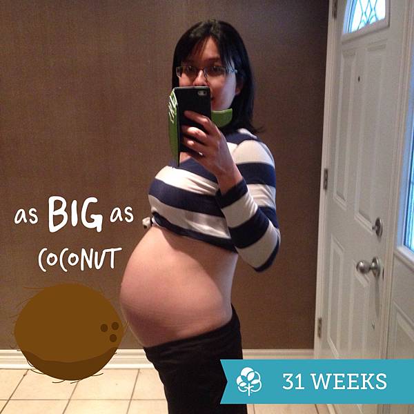 IMG_8133.JPG IMG_8133.JPG