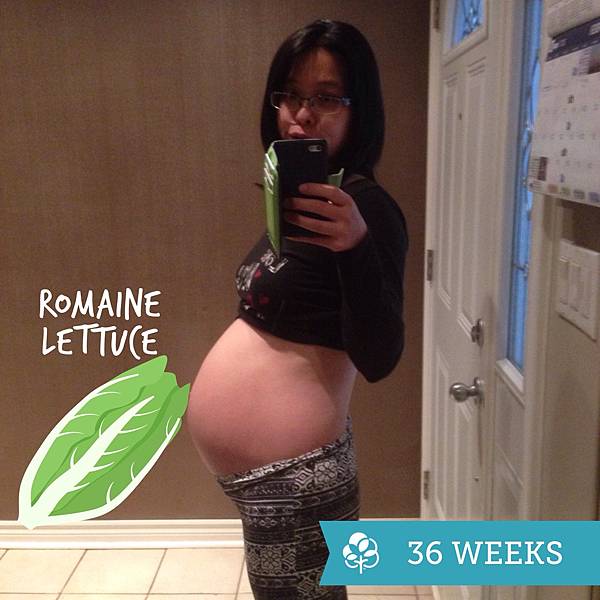 IMG_8239.JPG IMG_8239.JPG