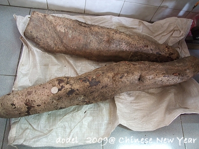 200901新春 260.jpg