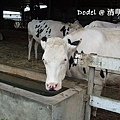DSCF7248.jpg
