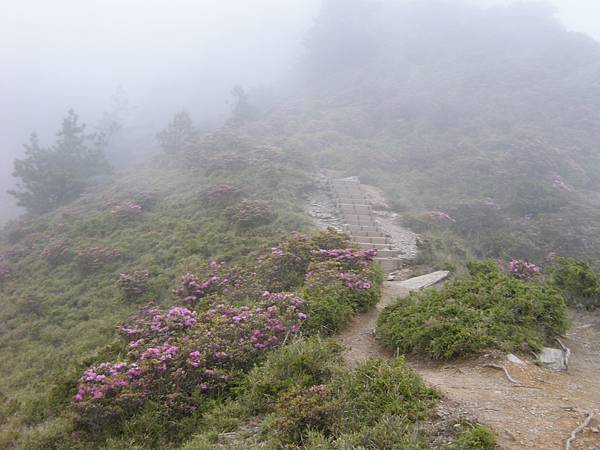 DSCN9997_探路沒想到遇到午後雷陣雨..期盼明天會是個好天氣.JPG