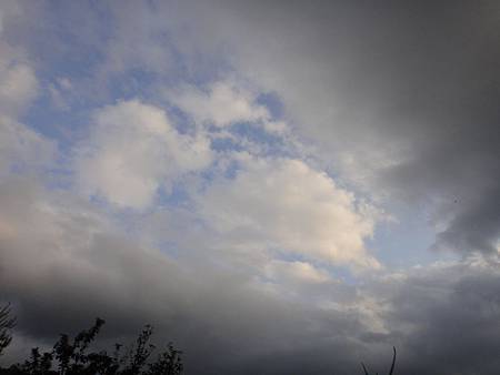 DSC02150.jpg DSC02150.jpg