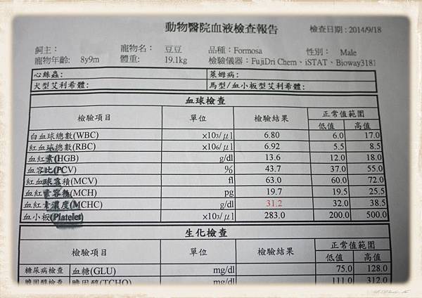 第五次的血液檢查