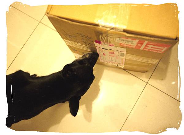 飼料來囉.jpg 飼料來囉.jpg