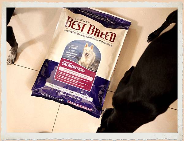 best breed best breed