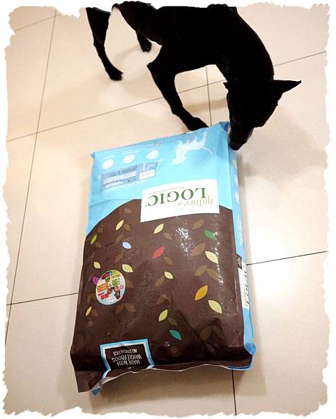 lily聞飼料.jpg lily聞飼料.jpg