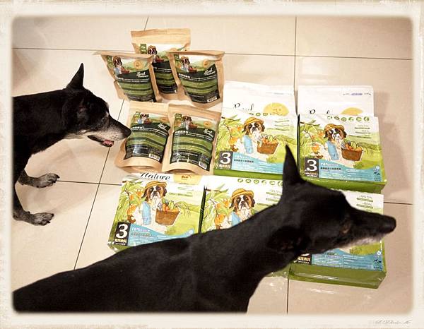 狗跟飼料們.jpg 狗跟飼料們.jpg