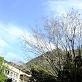DSCF3117.JPG