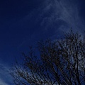 DSCF3118.JPG