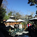 DSCF3125.JPG