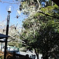 DSCF3130.JPG