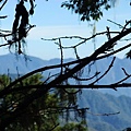 小怪喜歡這張
