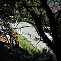 DSCF3133.JPG