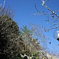 DSCF3134.JPG