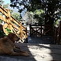 DSCF3139.JPG