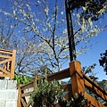DSCF3140.JPG