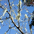 DSCF3141.JPG