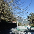DSCF3145.JPG