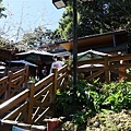 DSCF3146.JPG