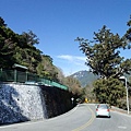 DSCF3147.JPG
