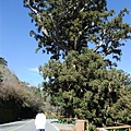 DSCF3149.JPG