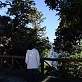 DSCF3152.JPG