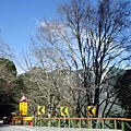 DSCF3154.JPG