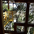 DSCF3172.JPG