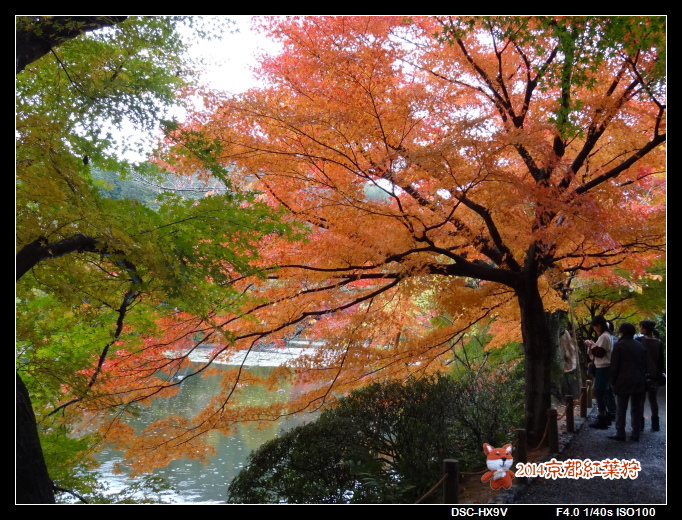 141125龍安寺.jpg