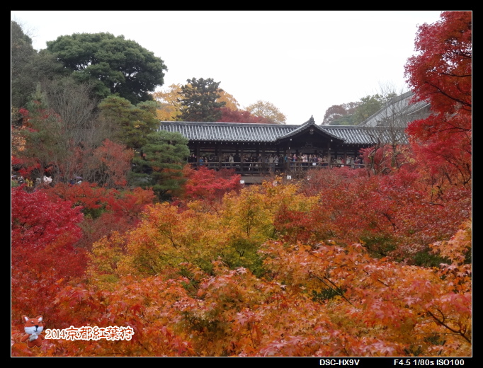 141126東福寺.jpg