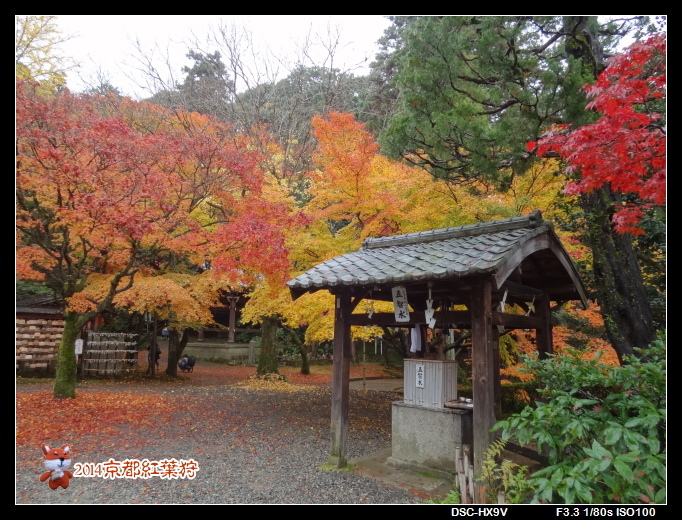 141126今熊野觀音寺.jpg