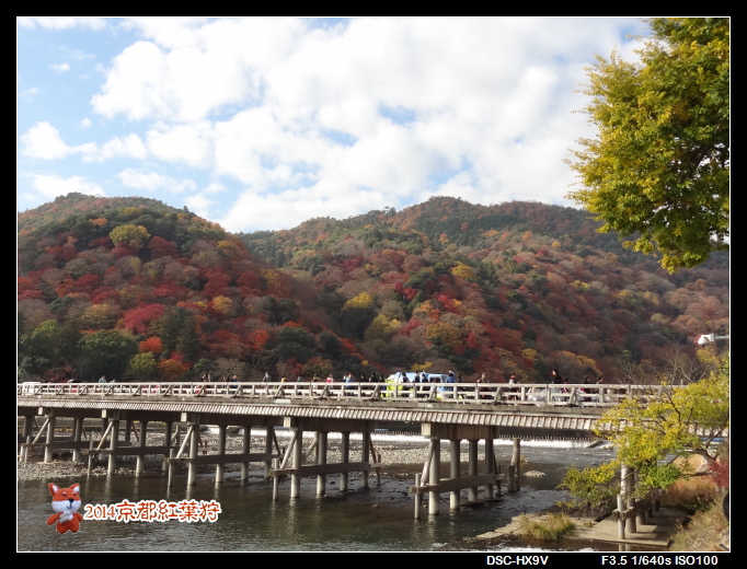 141128渡月橋.jpg