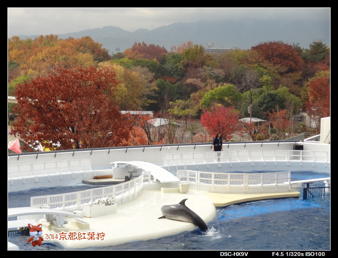 141129梅小路公園及水族館.jpg