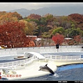 141129梅小路公園及水族館.jpg