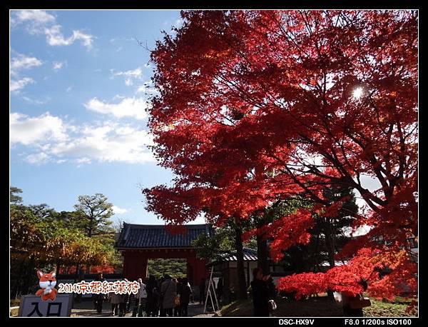 141202平等院.jpg