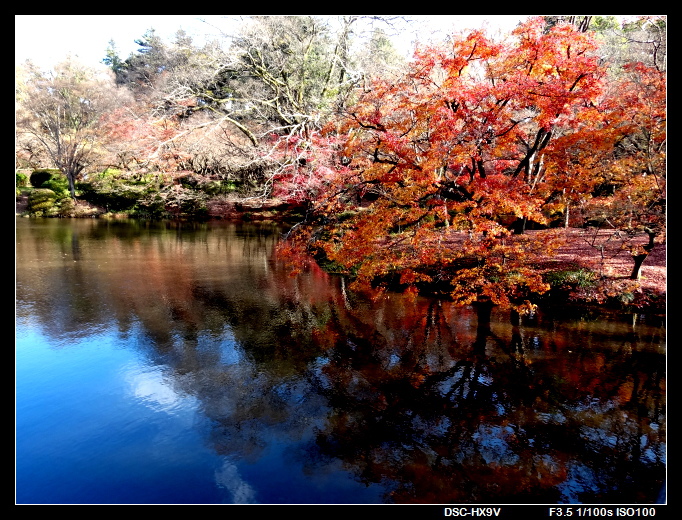 141203植物園.jpg