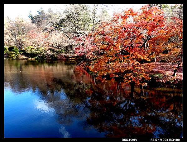 141203植物園.jpg