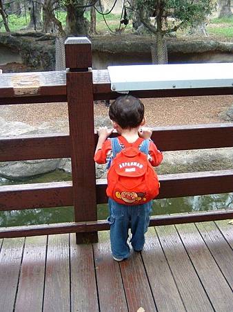 20070430長頸鹿日01.jpg 20070430長頸鹿日01.jpg