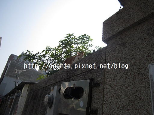 003.JPG 003.JPG