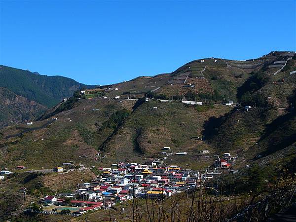 日間的寡婦村