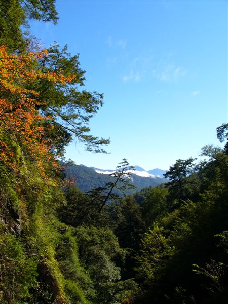 桃山瀑布的另一面瞭望